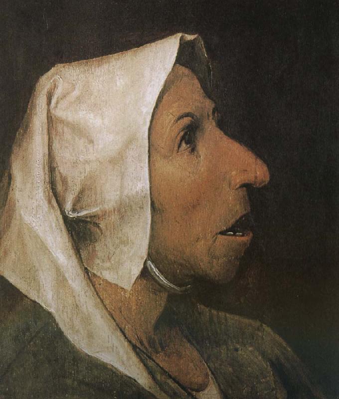 Pieter Bruegel Portrait of woman oil painting image